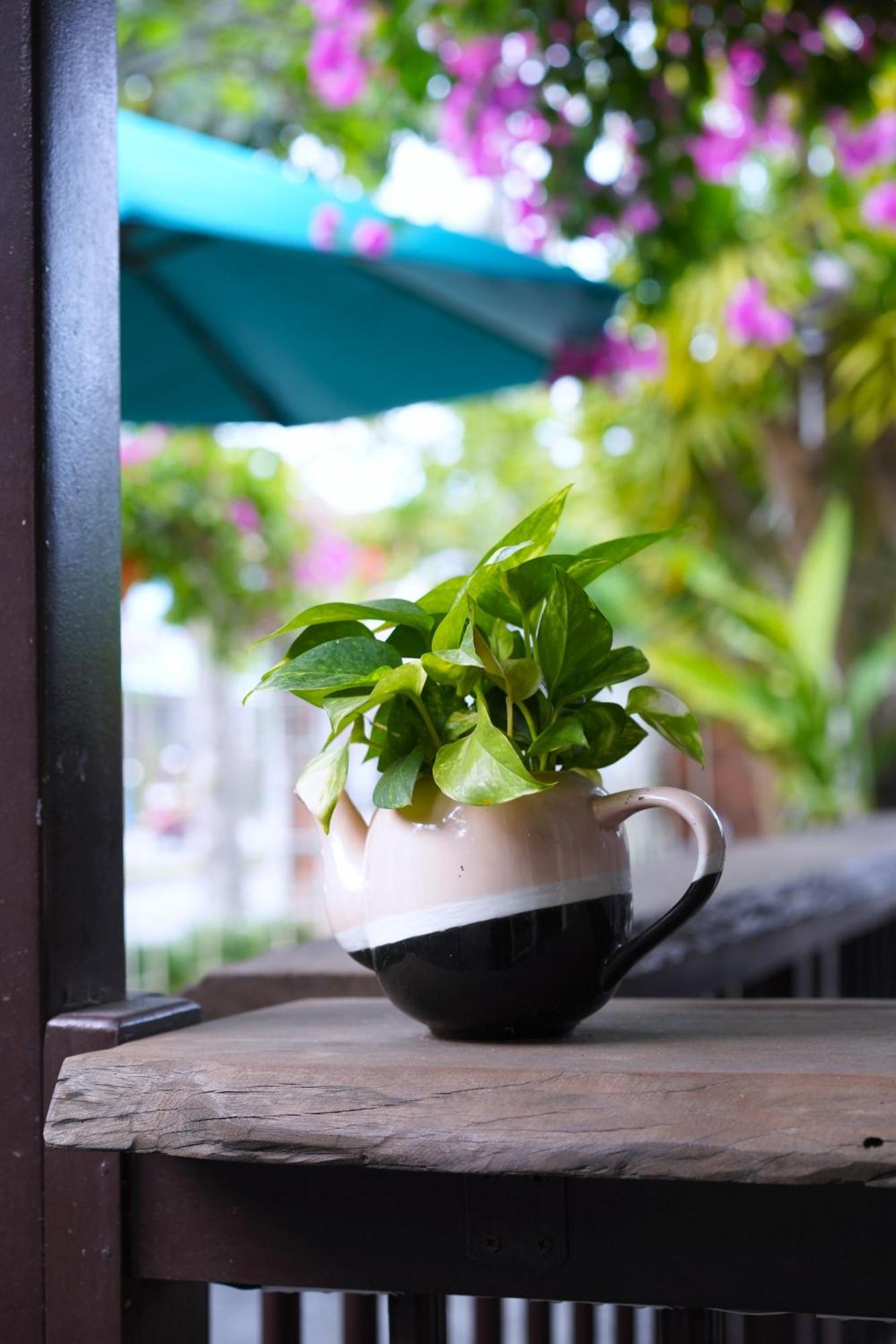 Blooms Boutique Village Hoi An Exteriér fotografie