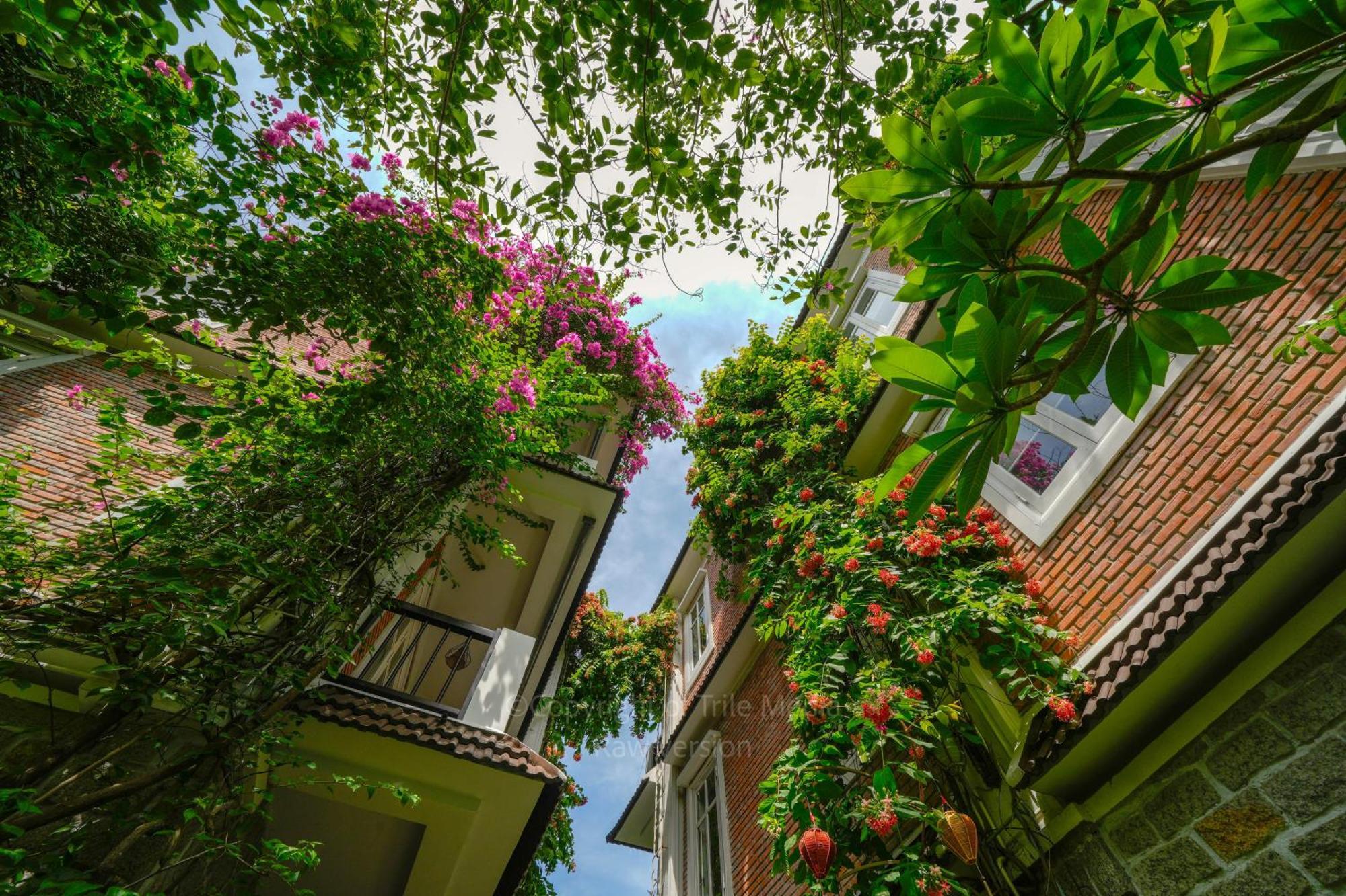 Blooms Boutique Village Hoi An Exteriér fotografie